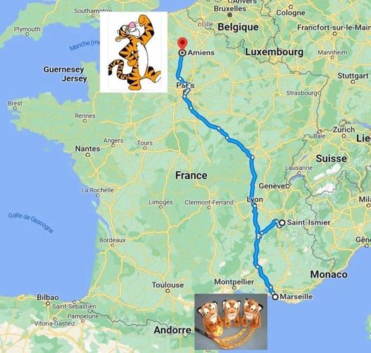 Tous les Tigres (ou presque) sur la route ce week-end